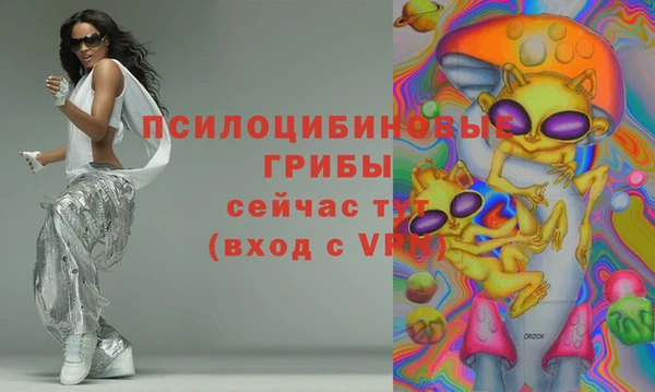 спиды Белокуриха
