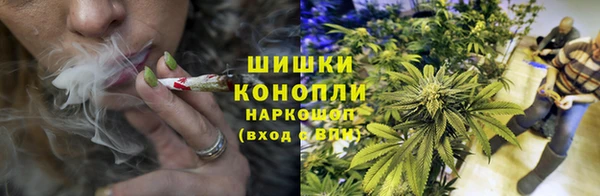 спиды Белокуриха