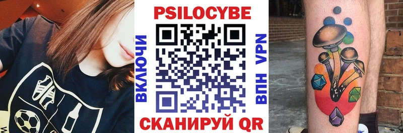 где купить наркоту  Кинешма  Псилоцибиновые грибы мухоморы 